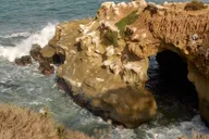La Jolla Walking Tour: Sip, Savor & Sea 3 hr thumbnail 6