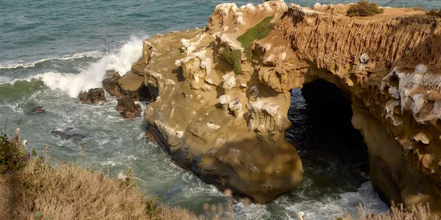 La Jolla Walking Tour: Sip, Savor & Sea 3 hr - Image 6