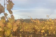 Santa Barbara Wine Tour thumbnail 5