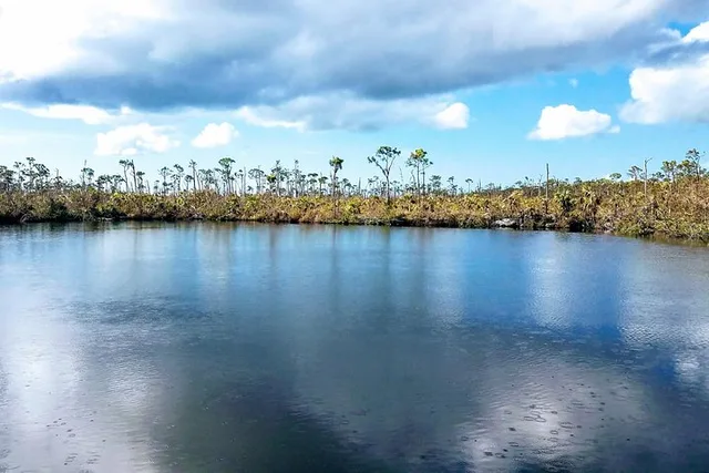 Key West Nature & History Tour - Image 6