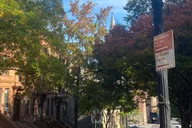 Harlem Walking Tour with Gospel Mass in French thumbnail 3