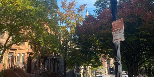 Harlem Walking Tour with Gospel Mass in French - Image 3
