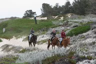 San Francisco Beach Horseback Ride & Alcatraz Tour thumbnail 6