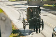Lancaster Amish Experience Tour thumbnail 3