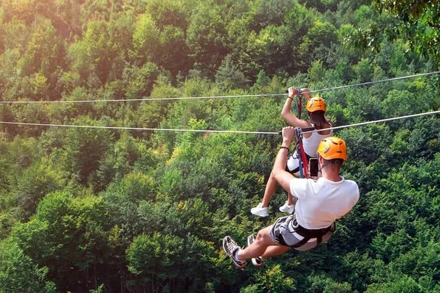 Camano Island Zipline and Deception Pass Tour - Image 4