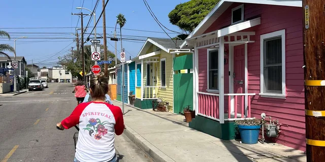 Venice Beach and Santa Monica Bike Tour in French 3.5 hr - Image 3