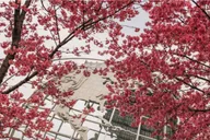 New York City Contrasts Tour thumbnail 4