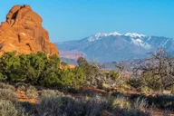 Moab Arches National Park Tour Half Day thumbnail 6