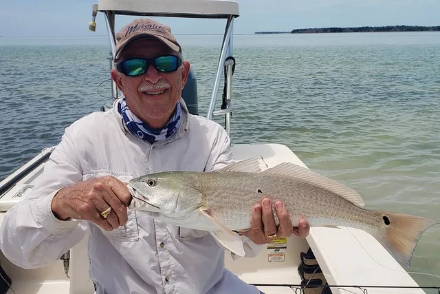 Miami Inshore Flats Fishing Tour 4 hr - Image 2