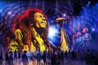 Kingston Bob Marley Experience thumbnail 3