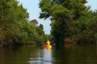 Grand Island Nature Hike and Kayak Tour thumbnail 5
