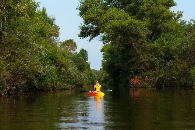 Grand Island Nature Hike and Kayak Tour - Image 5