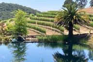 Napa & Sonoma Private Wine Tour for 2 to 5 thumbnail 4