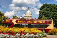Washington DC Hop-On Hop-Off Bus Tour thumbnail 6