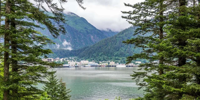 Juneau City Highlights Bus Tour - Image 3