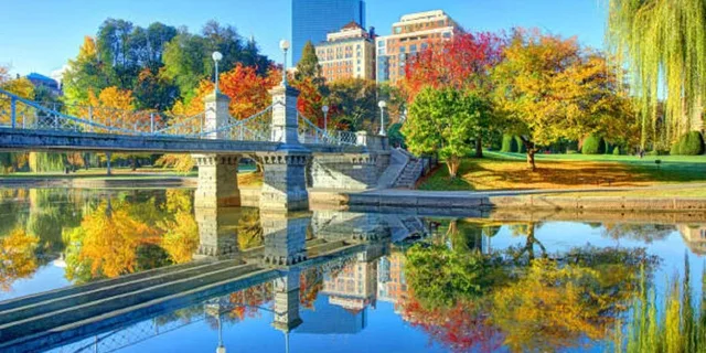 Boston Public Garden and Beacon Hill Half-Day Tour - Image 2