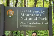 Gatlinburg Smoky Mountains Waterfall Hike 3.5 hr thumbnail 4
