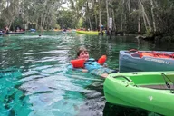 Crystal River Single Kayak Rental thumbnail 6