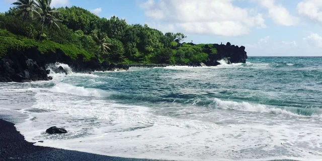 Maui Road to Hana Sightseeing Tour with Lunch - Image 4