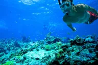 Florida Keys Kayak and Snorkel Adventure thumbnail 4