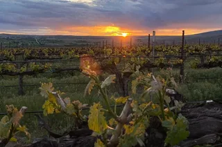 Seattle Wine Tasting Tour in Eastern WA