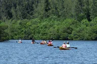 Vero Beach Kayak and Paddle Board Tour thumbnail 1