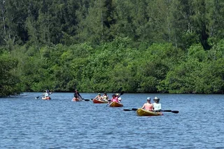 Vero Beach Kayak and Paddle Board Tour