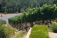 Napa Wine Tour: Corks & Castles Limo Experience thumbnail 4