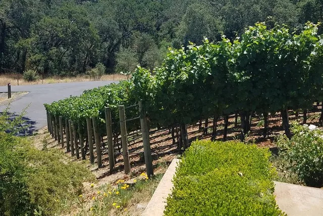 Napa Wine Tour: Corks & Castles Limo Experience - Image 4