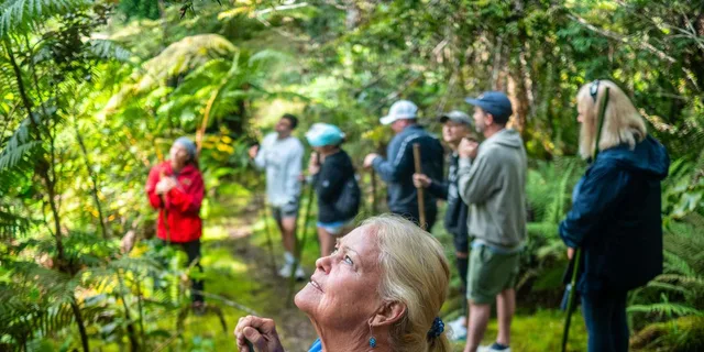 Kona Cloud Forest and Coffee Tour with Sea Turtles - Image 1