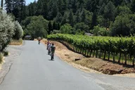 Sonoma Electric Bike Wine Tasting Tour with Lunch thumbnail 6