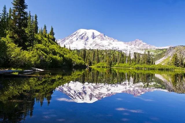 Mount Rainier National Park Self-Guided Driving Tour - Image 1