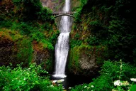 Portland Columbia River Gorge Waterfalls & Mt Hood Tour thumbnail 5