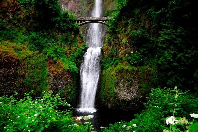 Portland Columbia River Gorge Waterfalls & Mt Hood Tour - Image 5