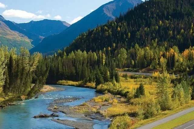 Seward to Anchorage Wildlife Adventure - Image 1