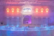 Fairbanks Aurora Ice Museum Tour thumbnail 5