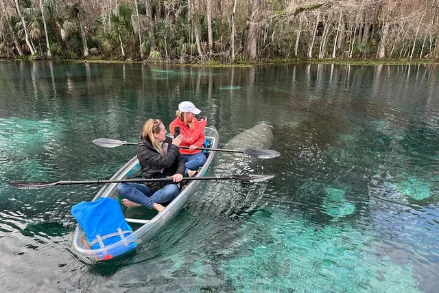 Silver Springs Self-Guided Clear Kayak Adventure - Image 6
