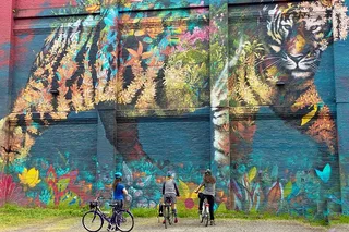 Portland Street Art Bike Tour 2 hr
