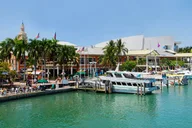 Orlando to Miami Shuttle thumbnail 3
