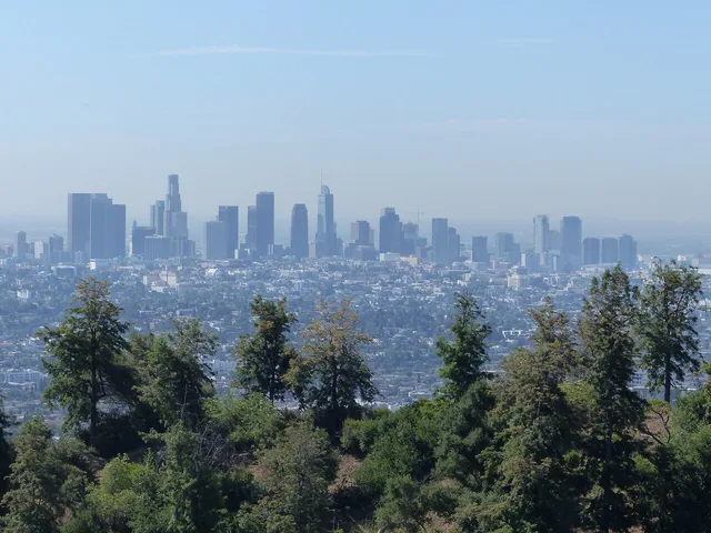 Los Angeles Hollywood and Beverly Hills Tour 3.5 hr - Image 6