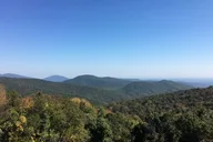 Gatlinburg 4-Day Tour from Chicago thumbnail 3