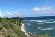 Honolulu Pearl Harbor and City Tour thumbnail 4