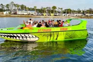 Panama City Dolphin Watching Sunset Cruise thumbnail 6