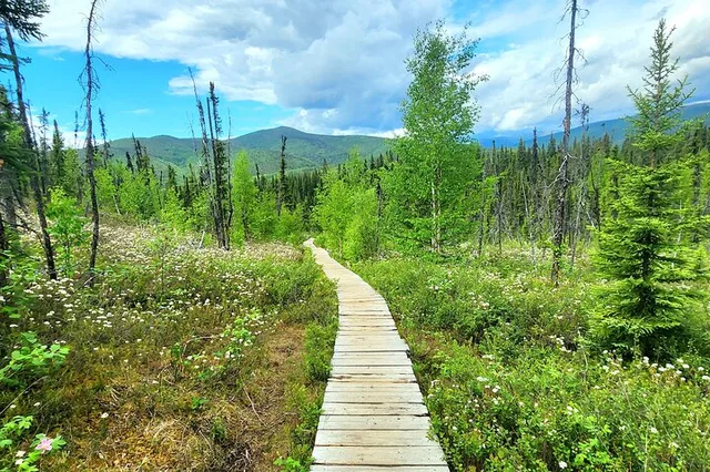 Fairbanks Angel Rocks Hike and Chena Hot Springs Tour - Image 5