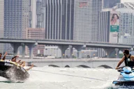 Miami Flyboard and Tubing Boat Tour thumbnail 4