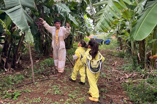 Waialua Bee Farm Ecotour and Honey Tasting - Image 4