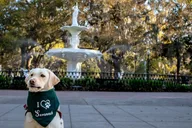 Savannah Photoshoot Experience thumbnail 5