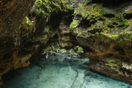 Florida Springs Snorkeling Expedition thumbnail 4