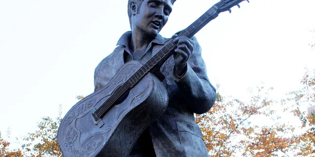 Memphis City Tour and Elvis Experience at Graceland - Image 1
