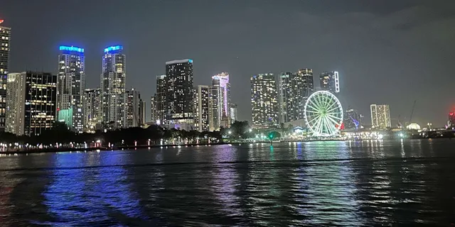 Miami Skyline Cruise Millionaire Homes & Star Island - Image 2